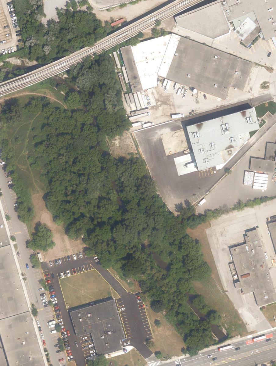 West Highland Creek Watercourse — site photograph