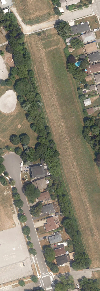 Massey Creek Watercourse — site photograph