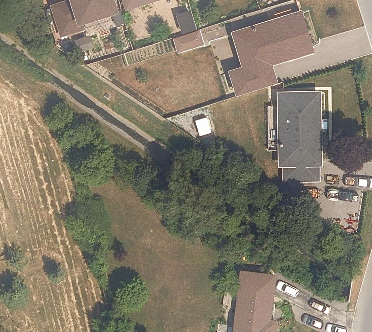Massey Creek Ravine — site photograph