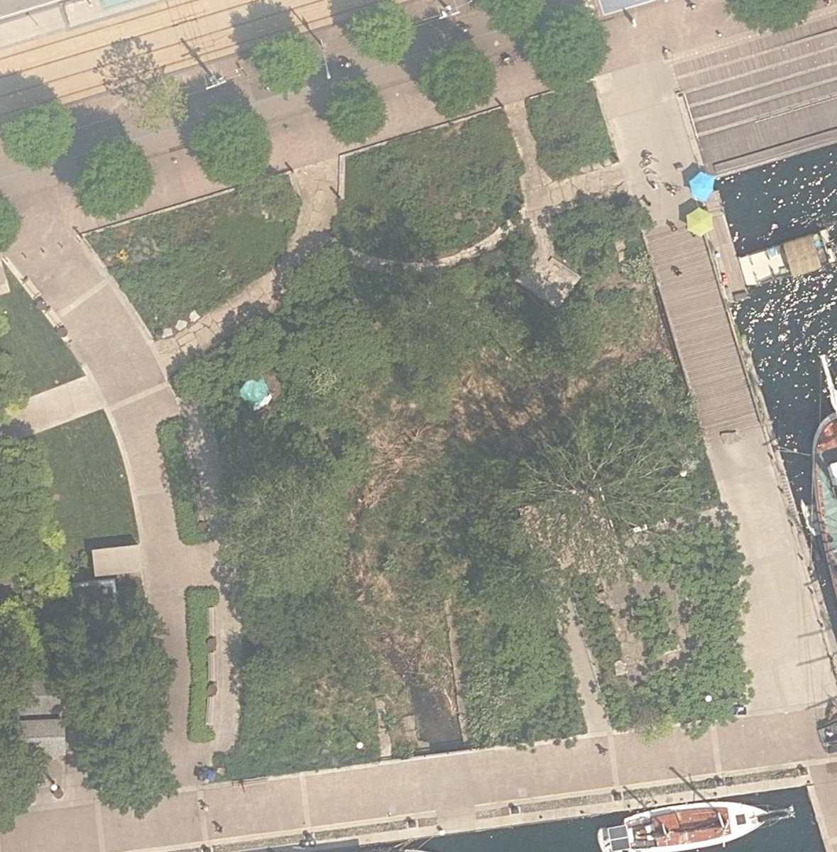Spadina Quay Wetlands — aerial / top-down view
