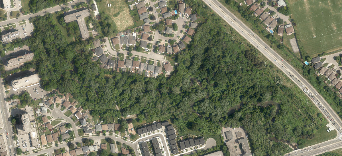 Upwood Greenbelt — site photograph