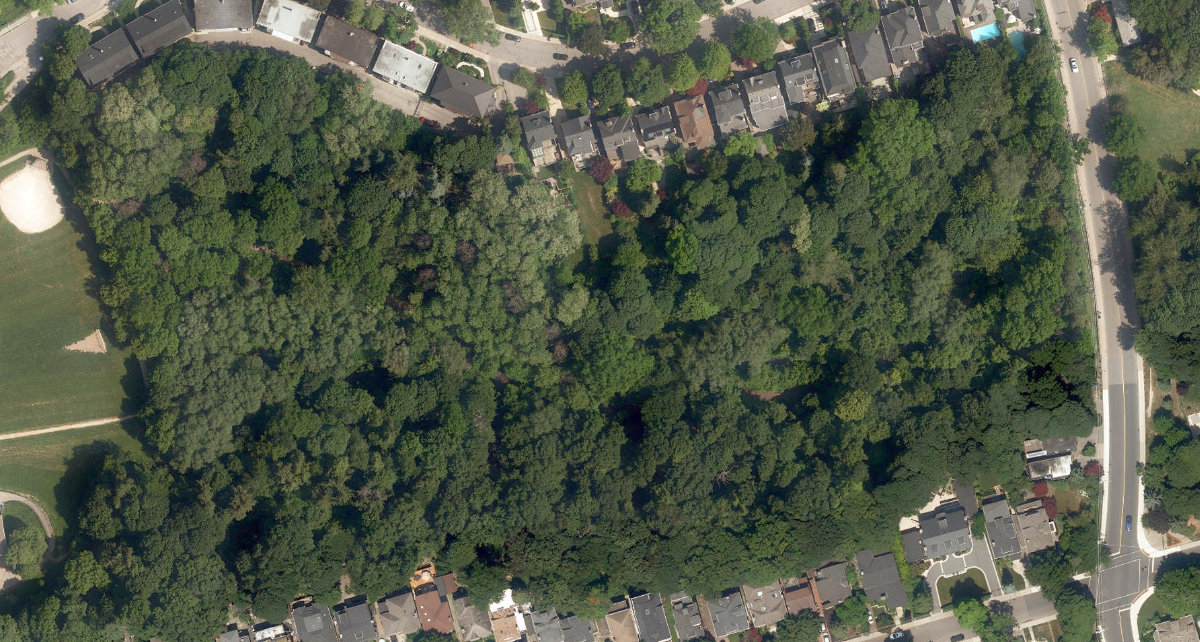 Chatsworth Ravine — site photograph