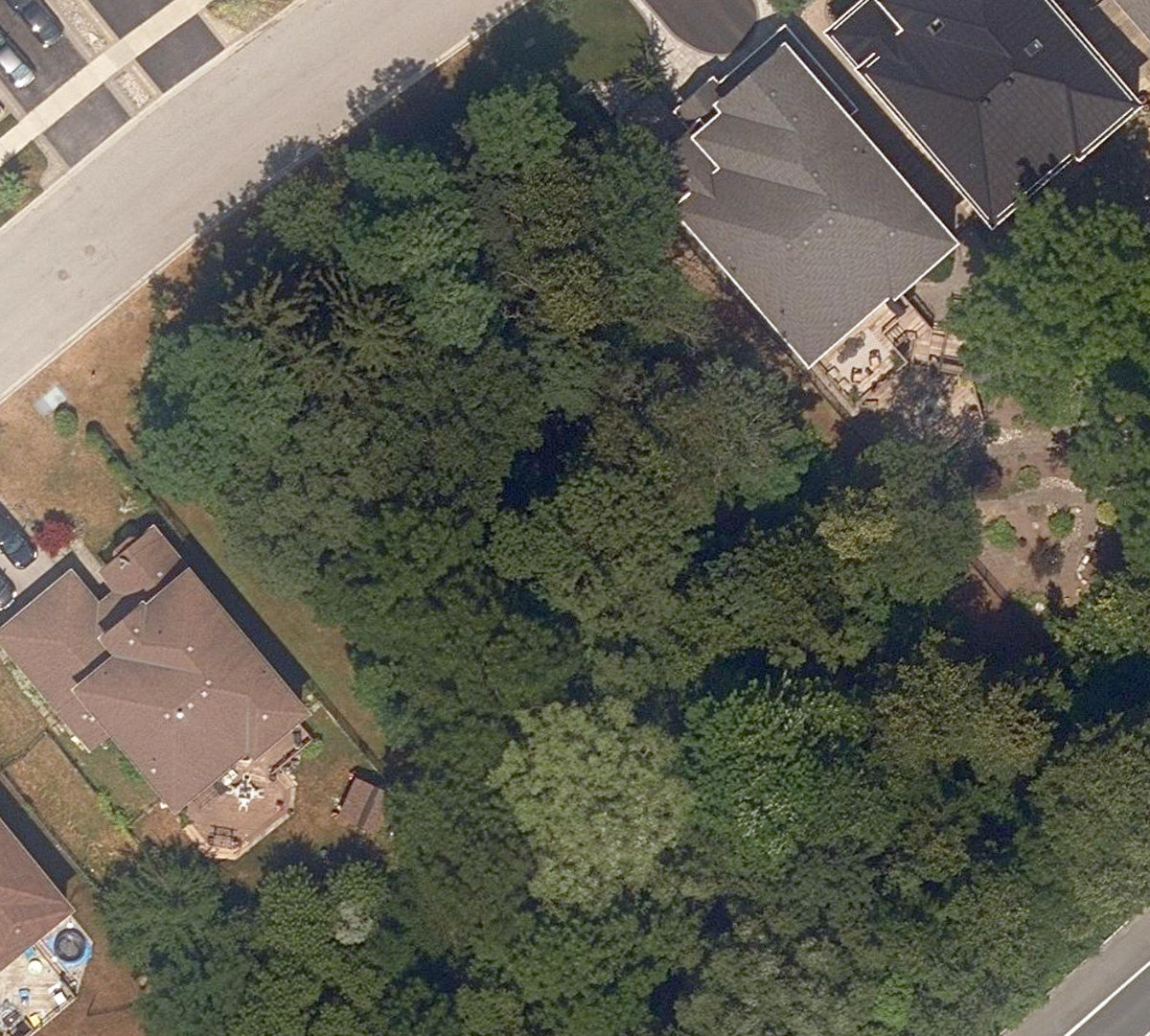 Tanis Cres Woodlot — site photograph