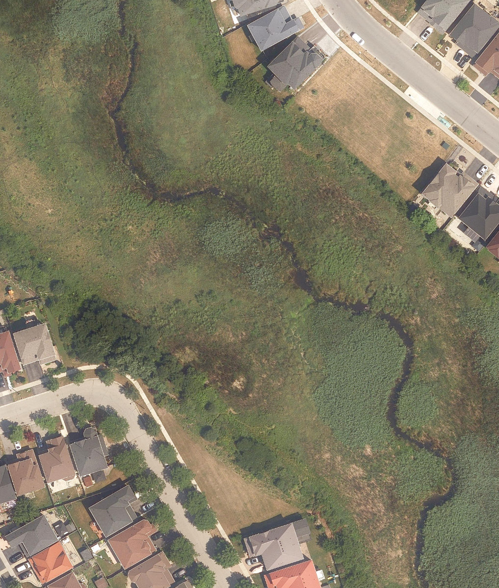 Staines Parkette — site photograph
