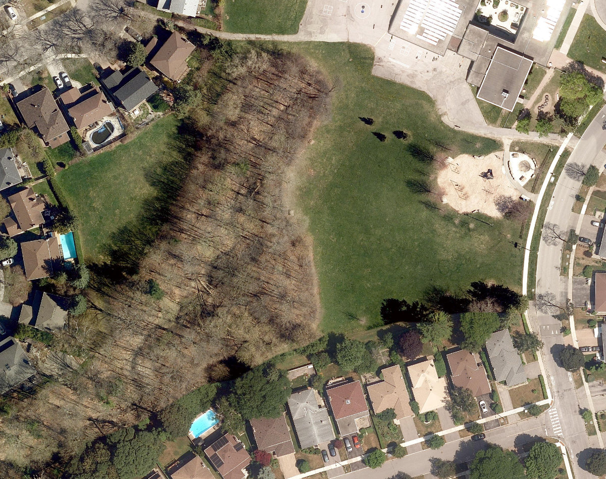 Pineway Park — site photograph