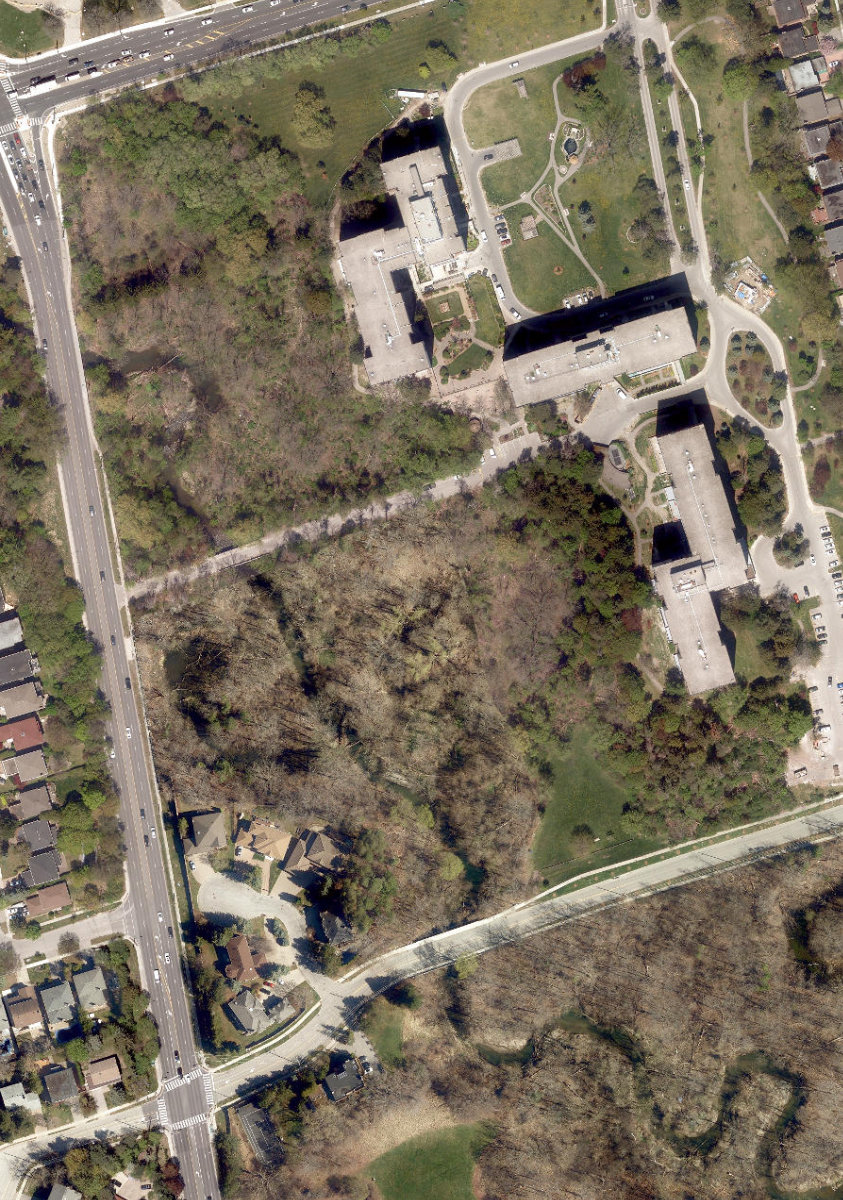 Garnier Park — site photograph