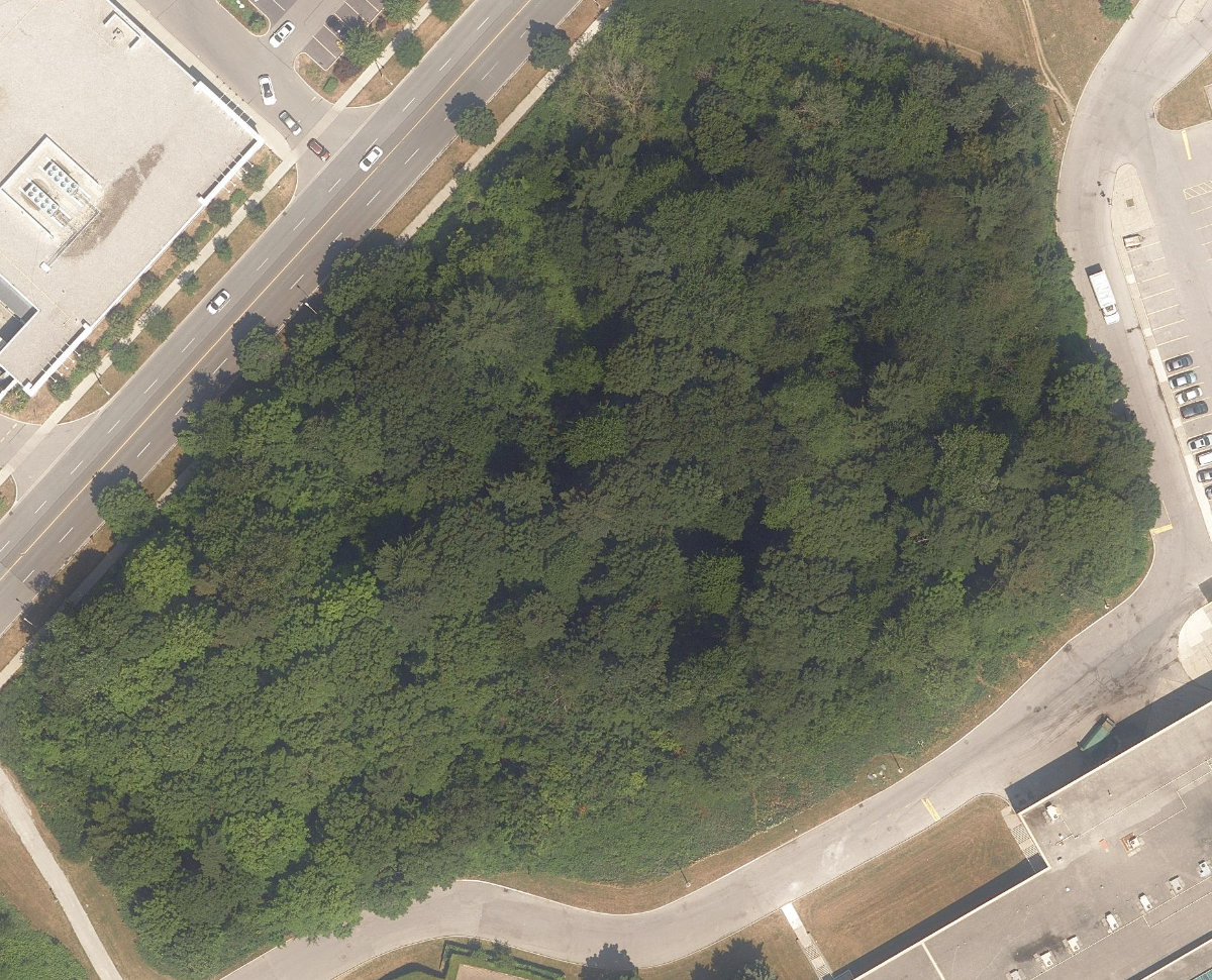 Mclevin Woods Park — aerial / top-down view