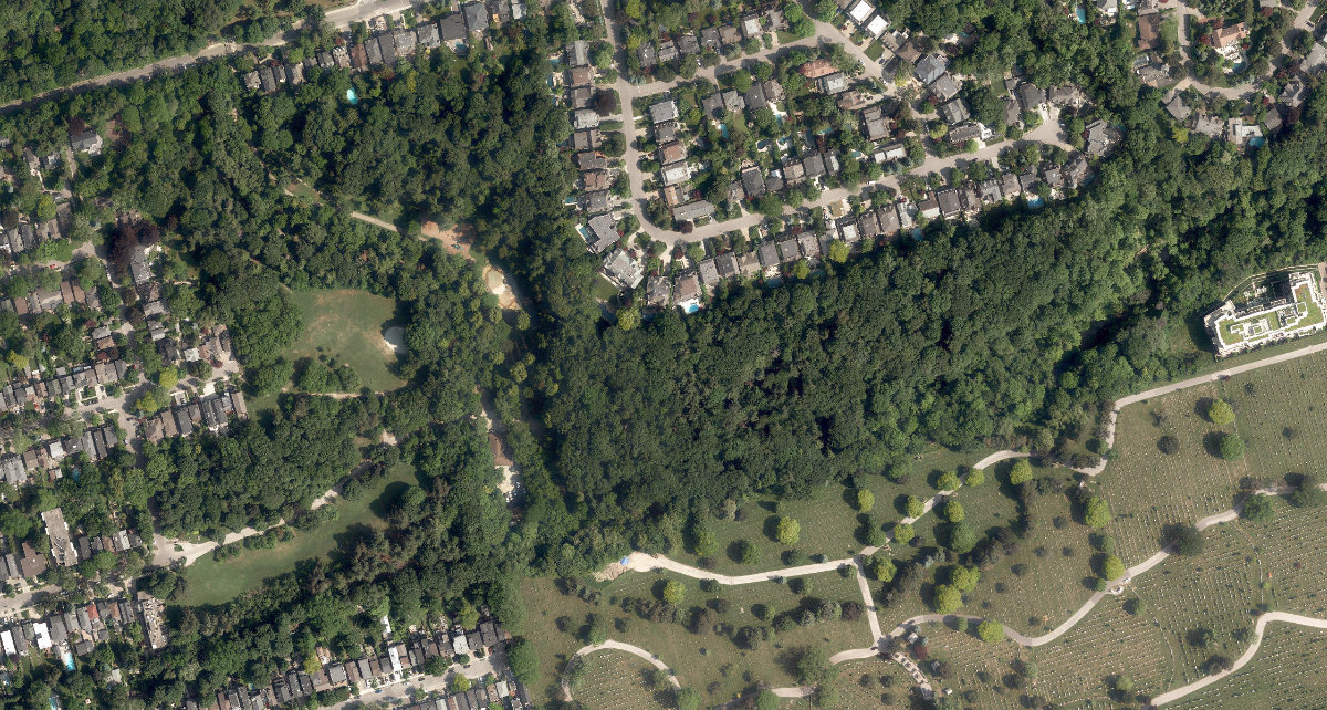 Sherwood Park — aerial / top-down view