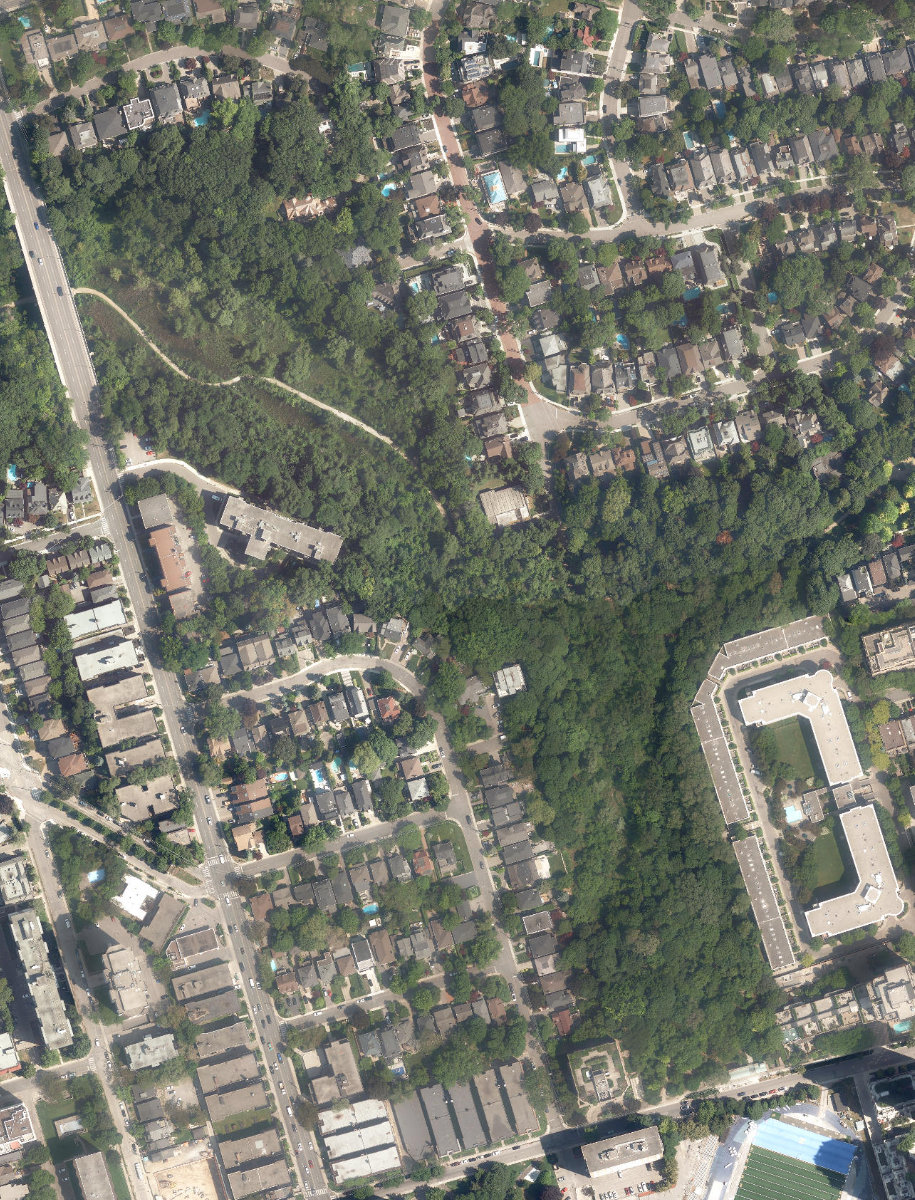 Cedarvale Ravine — site photograph