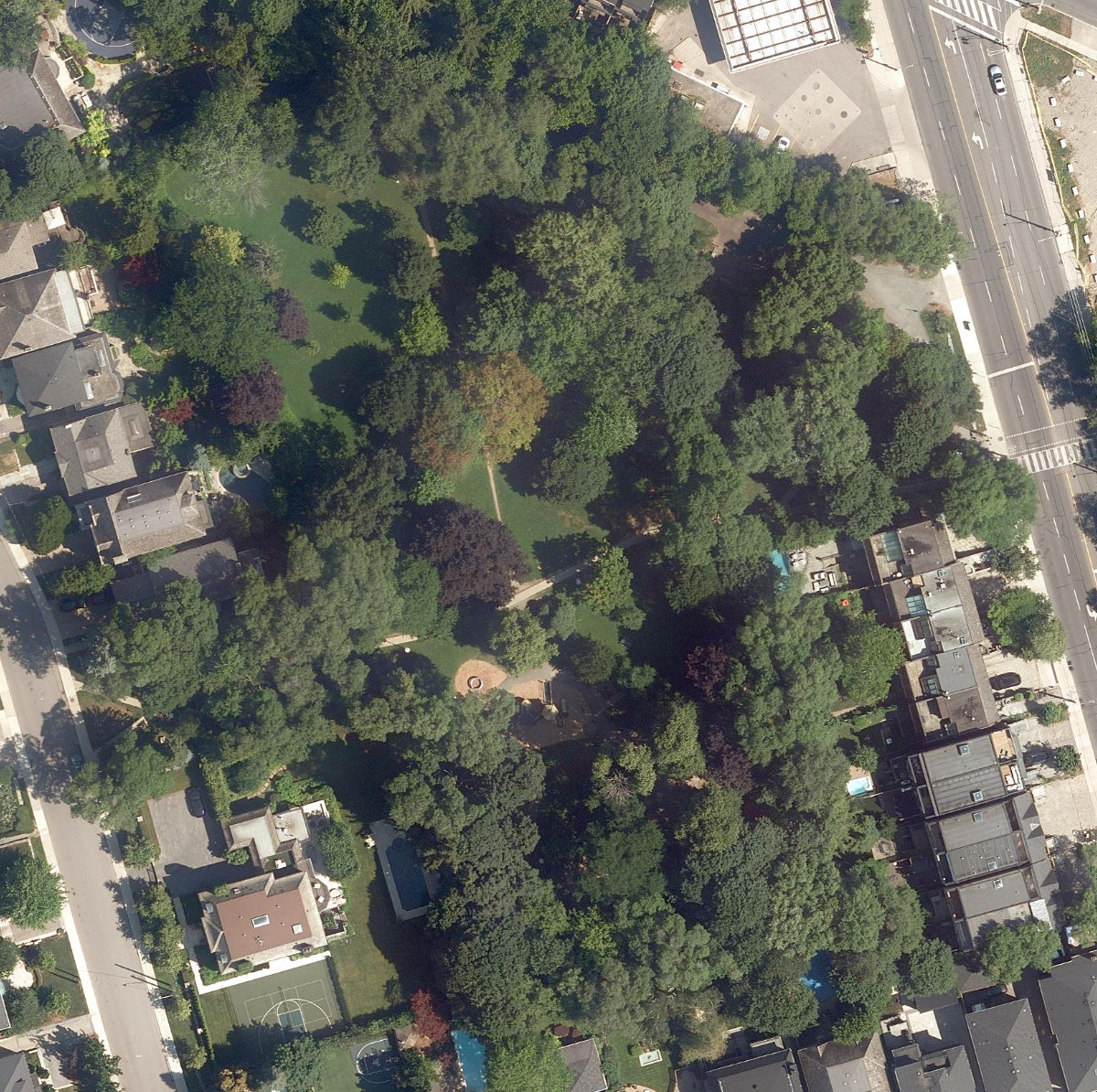 Forest Hill Road Park — aerial / top-down view