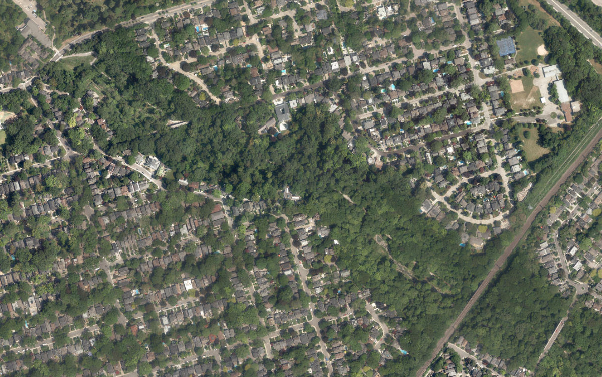 Moore Park Ravine — site photograph