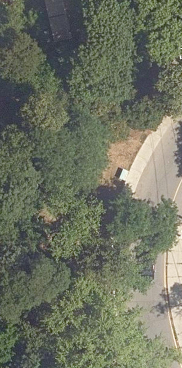 Austin Terrace Boulevard Lands — site photograph