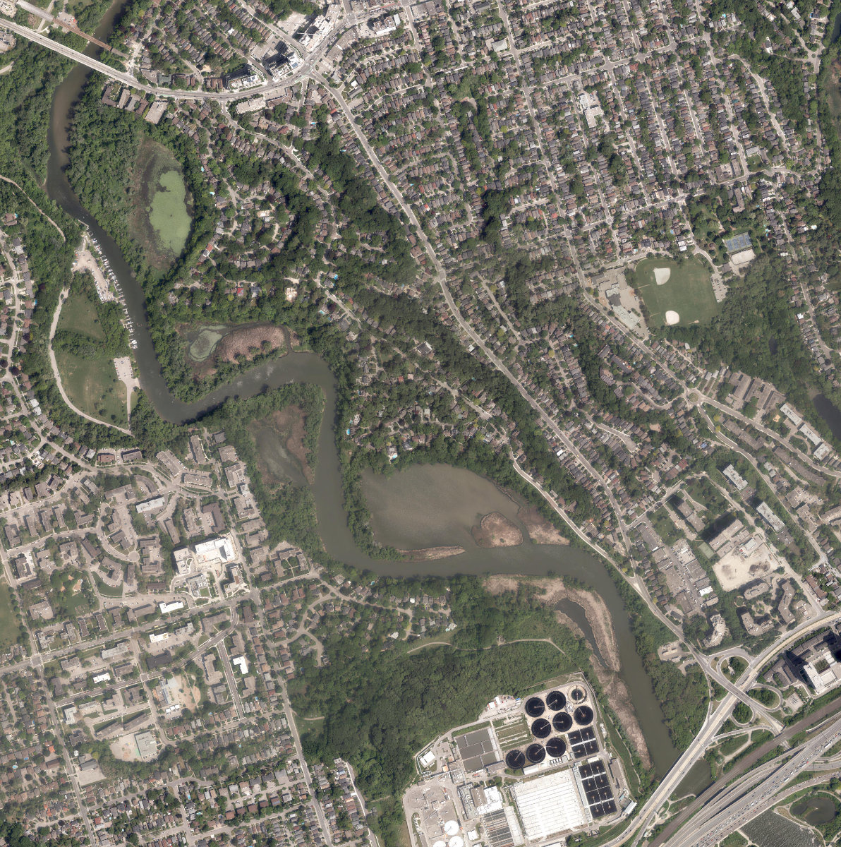 Humber Marshes — site photograph