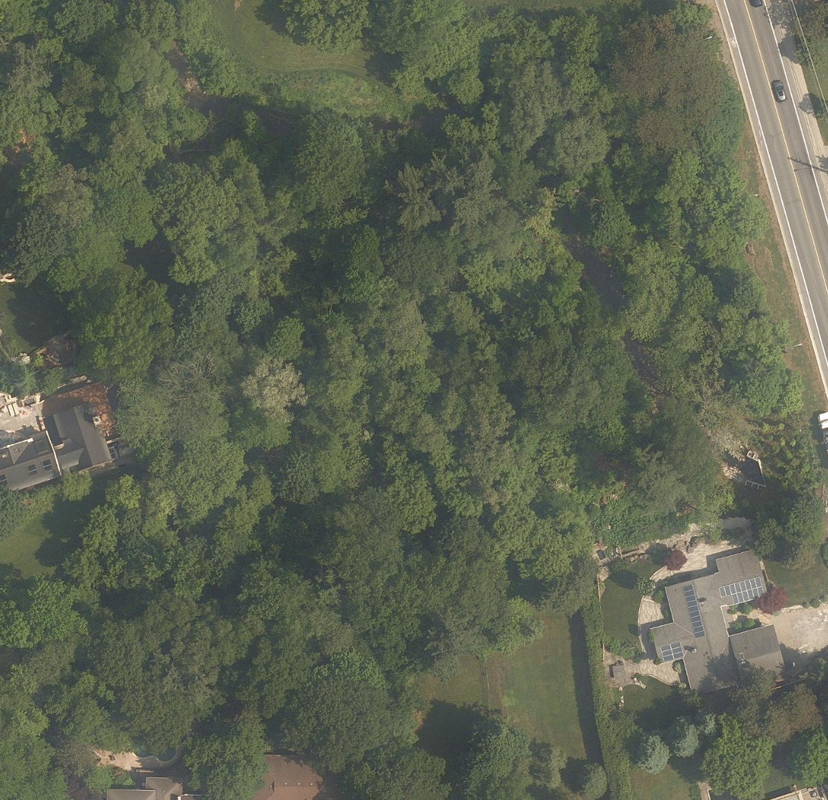 Edenbrook Park — site photograph