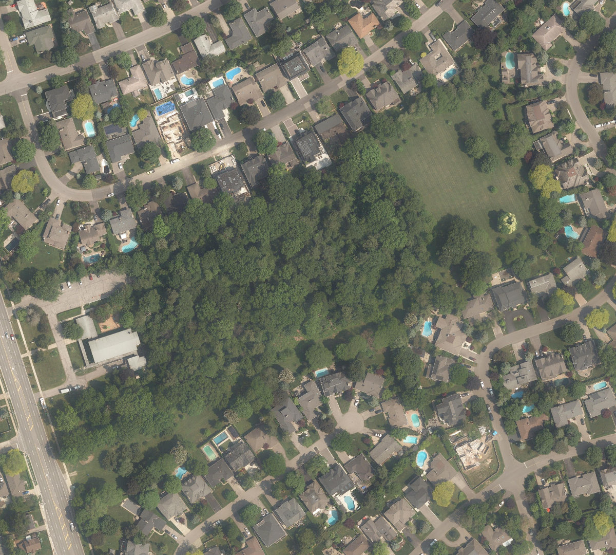 Princess Margaret Park, site photograph