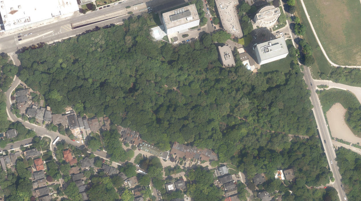 Nordheimer Ravine — aerial / top-down view