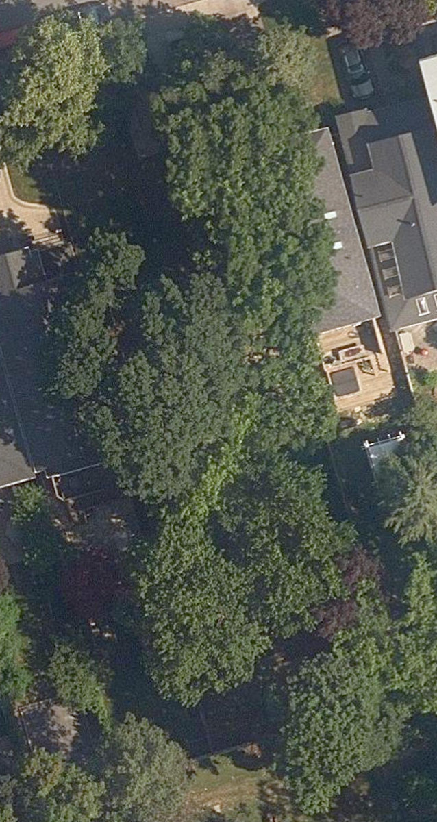 The Mission Ground Parkette — site photograph