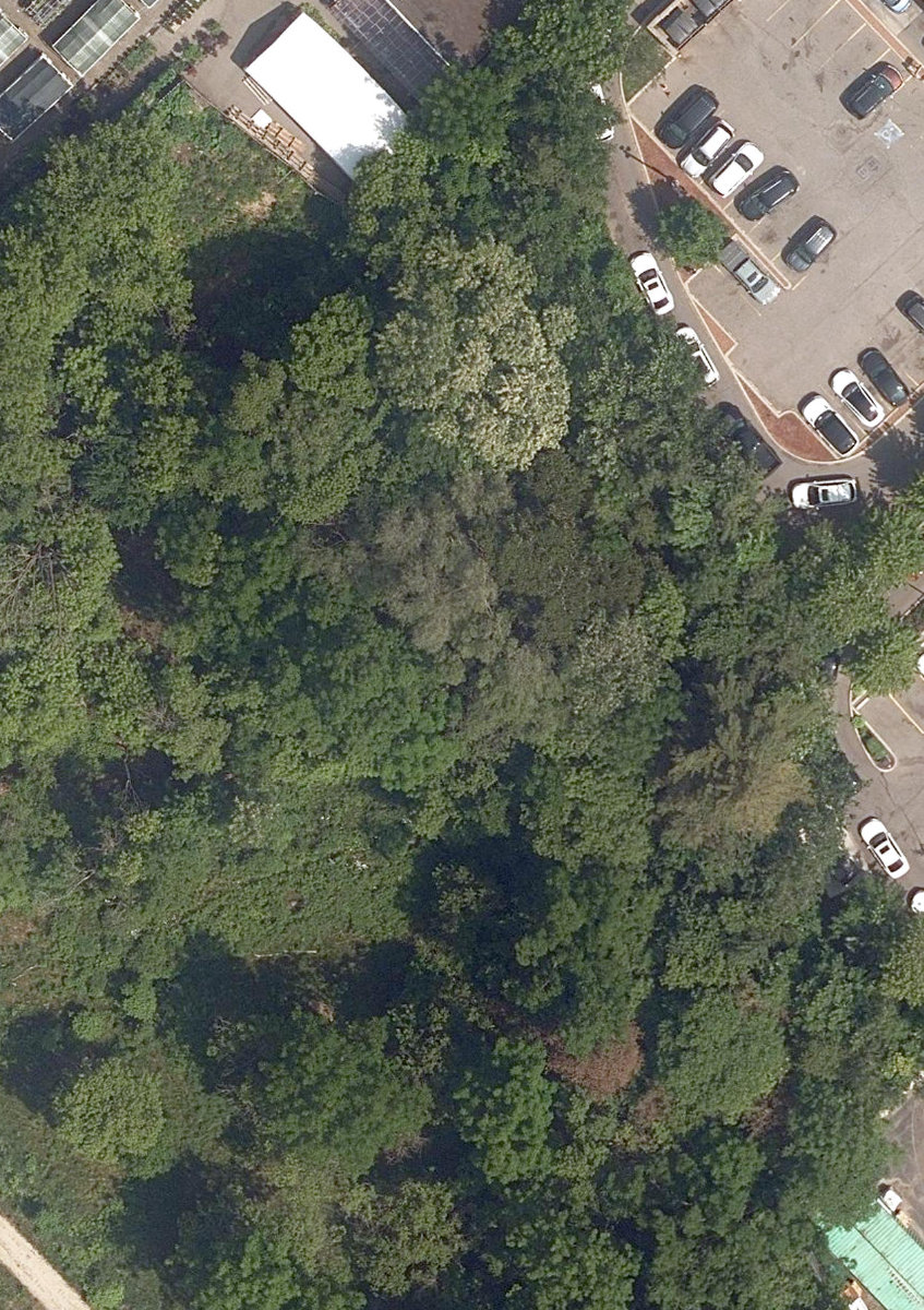 Trca Lands ( 47) — site photograph