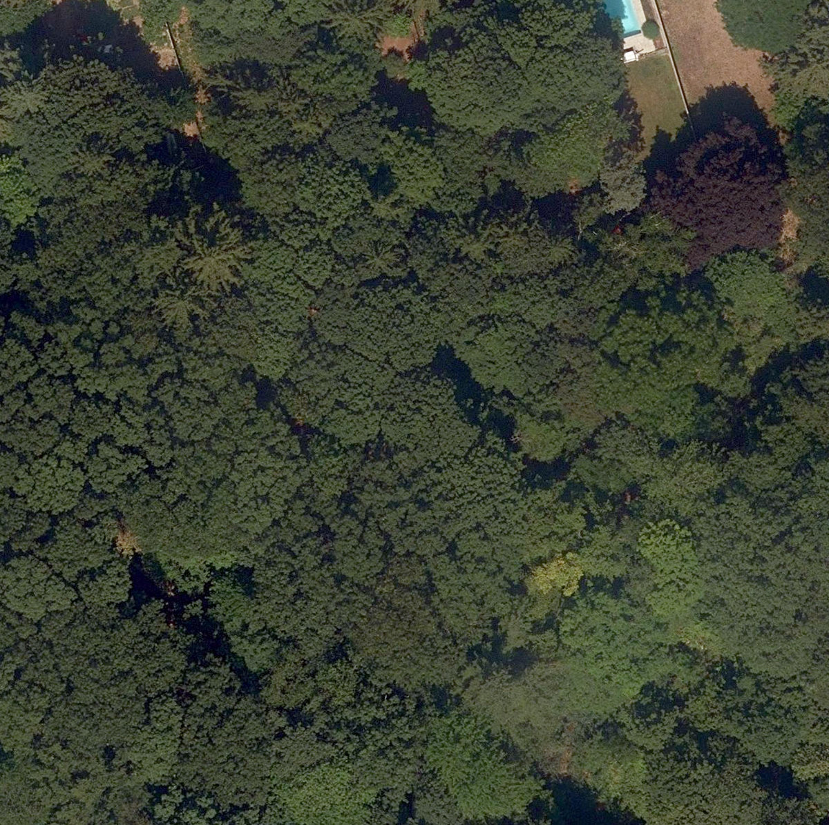 Trca Lands ( 57) — site photograph