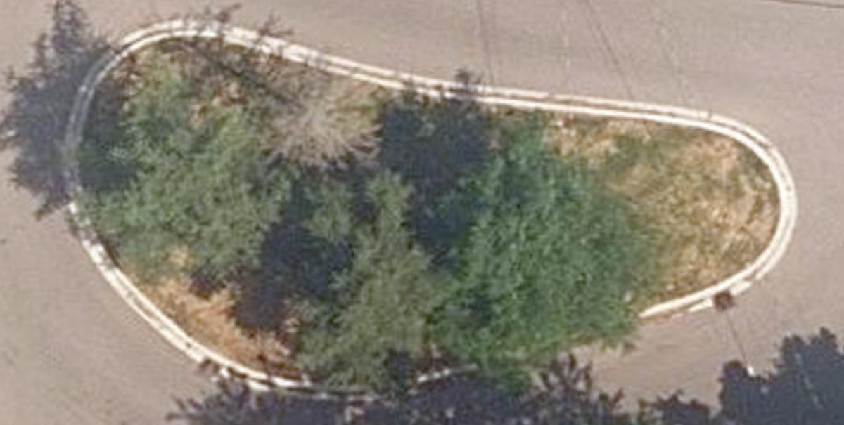 Old Mill Terrace Centre Island — site photograph