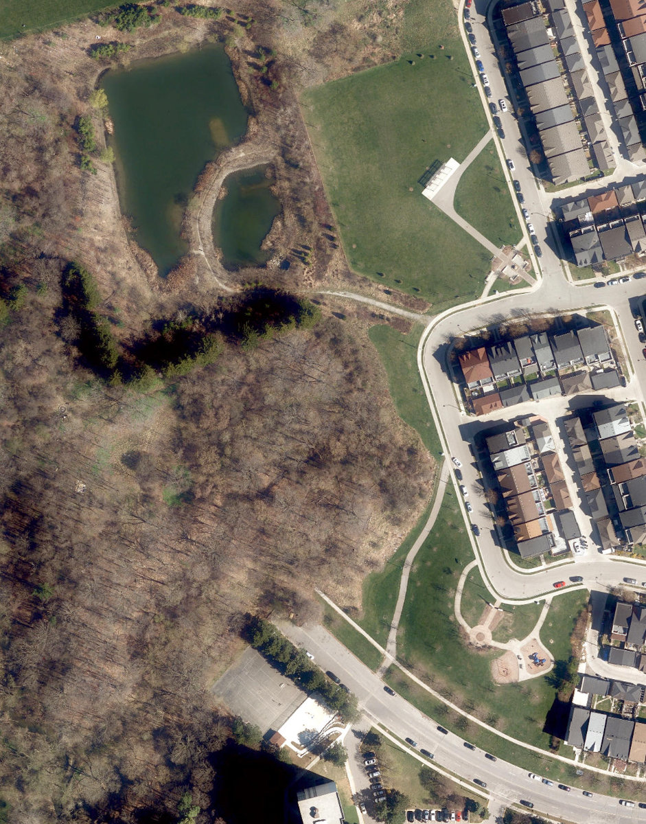 Dan Iannuzzi Park — site photograph