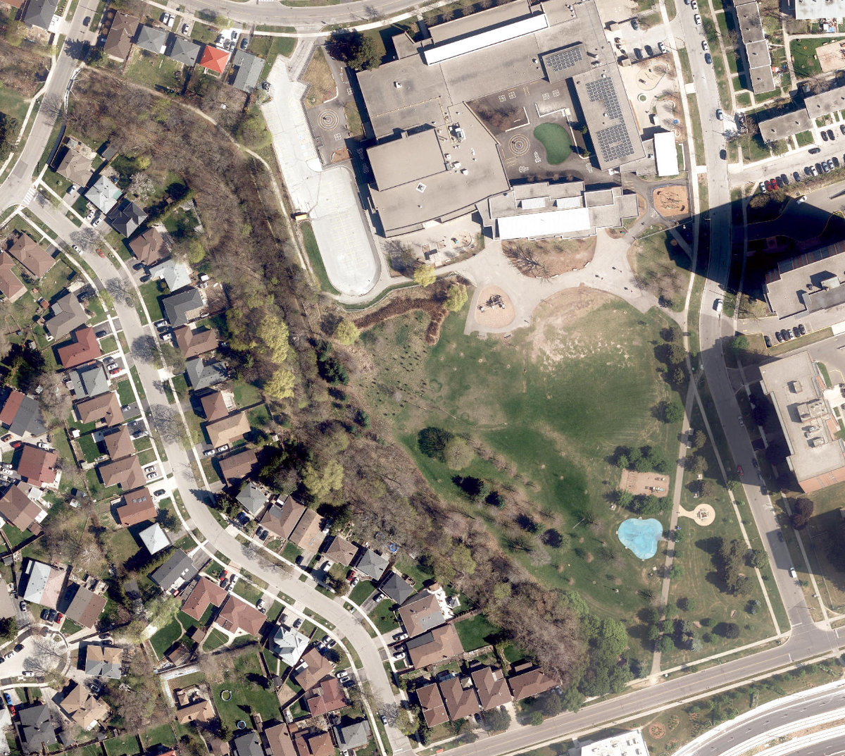 Highfield Park — site photograph