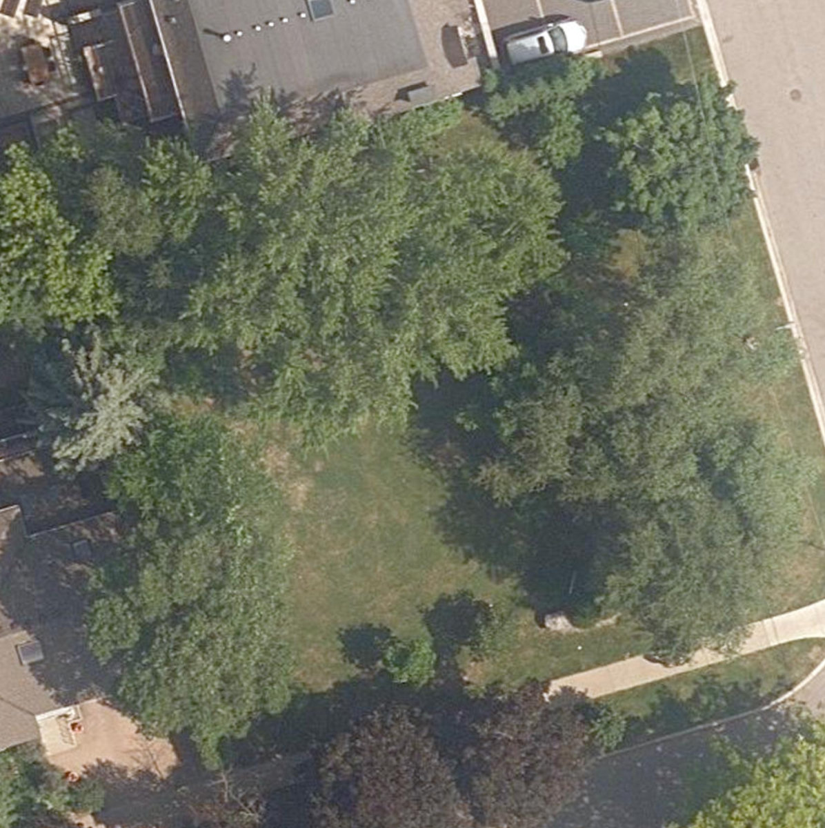 Grey Parkette — site photograph