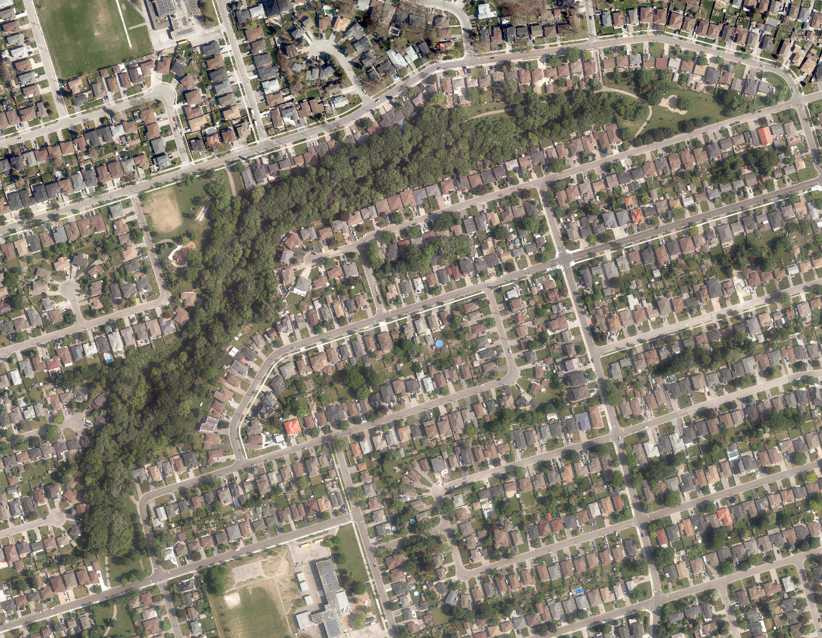 Giovanni Caboto Park — aerial / top-down view