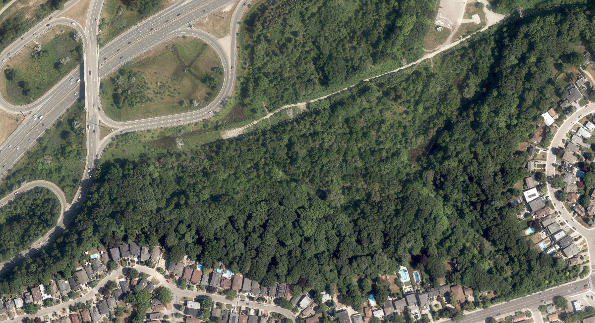 Coxwell Ravine Park — aerial / top-down view