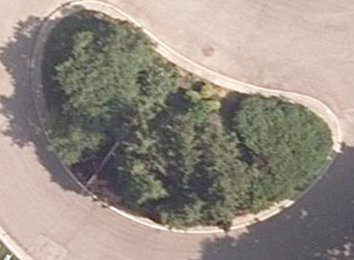 Waltham Dr Centre Island — site photograph