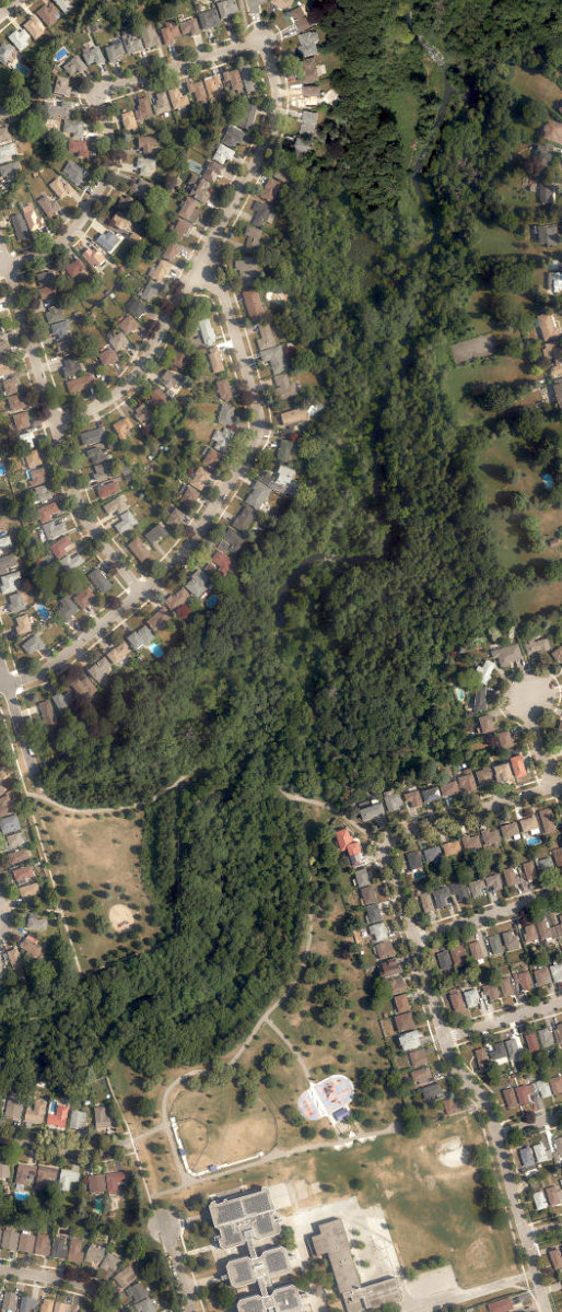 Mccowan Park — aerial / top-down view