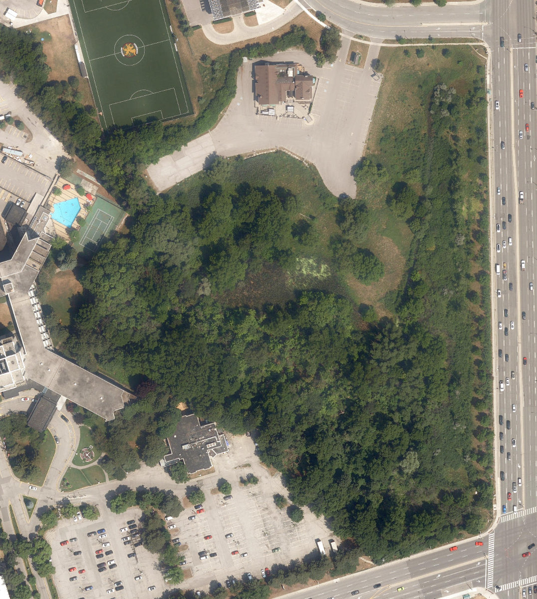 DAVID DUNCAN HOUSE - Building Grounds — aerial / top-down view