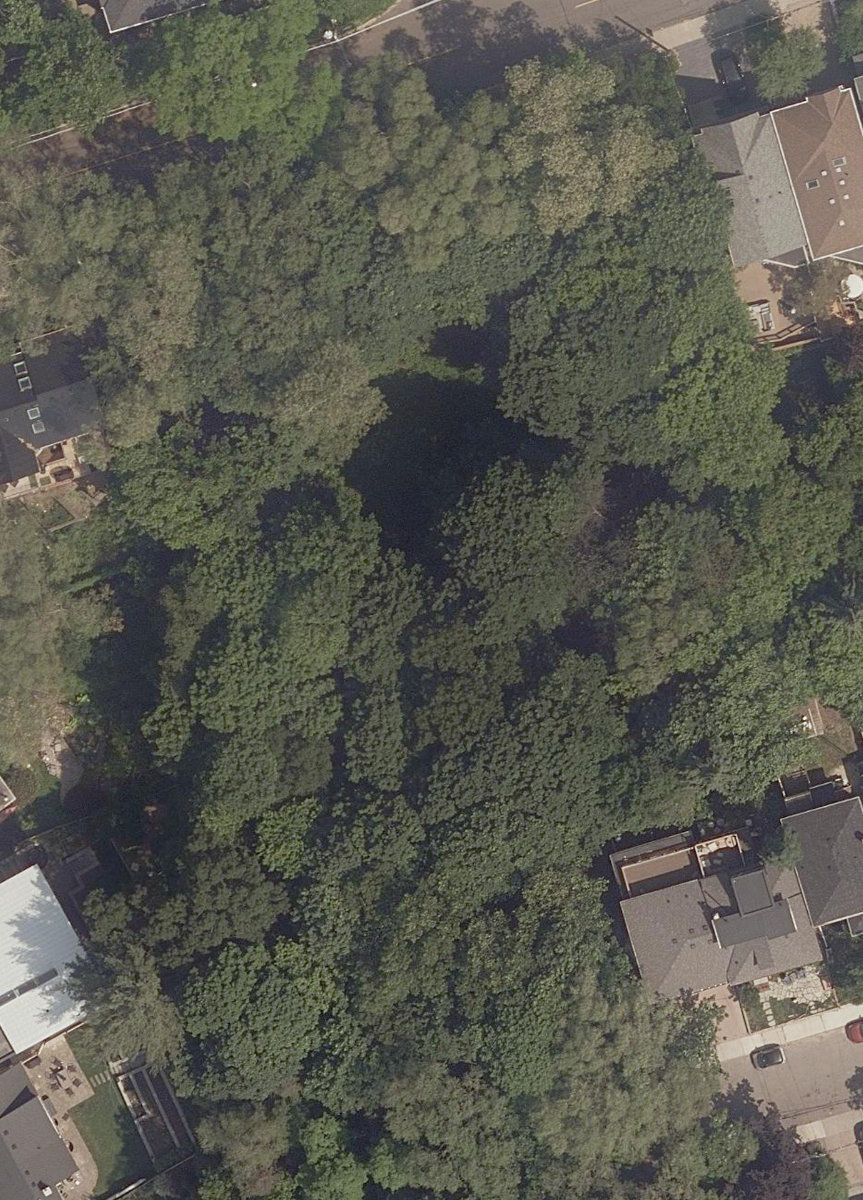 Waller Avenue Ravine Lands — site photograph