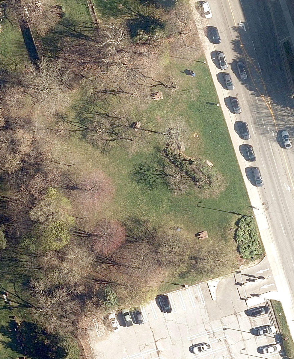 Beecroft Park — site photograph