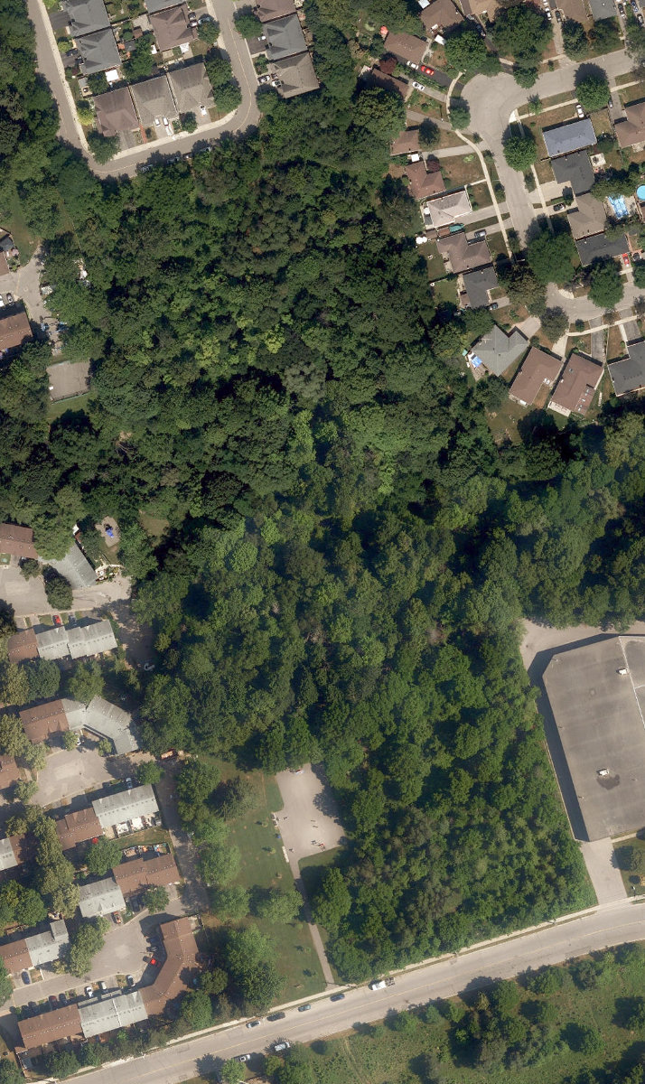 Manse Road Park — site photograph
