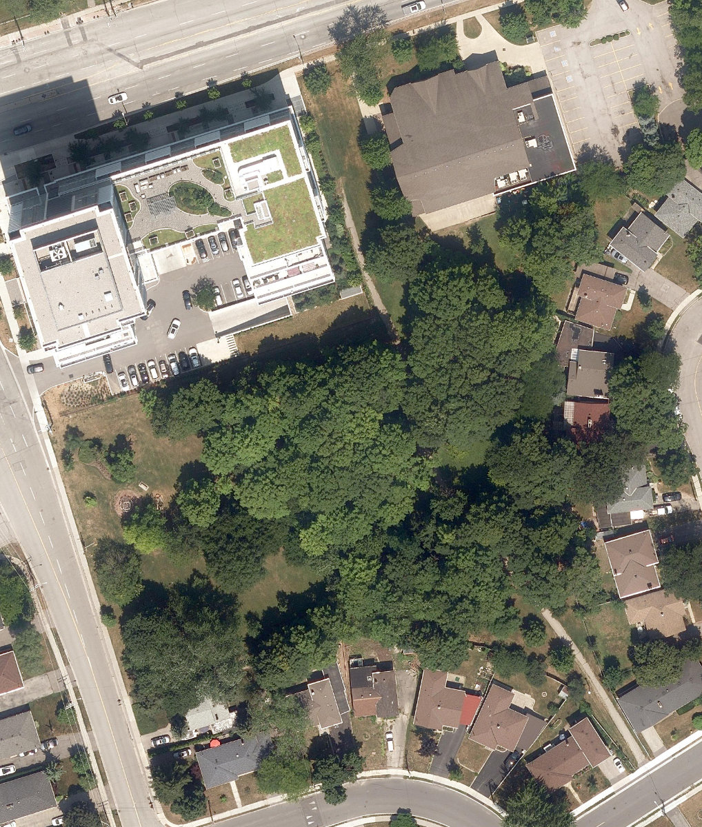Wishing Well Woods — aerial / top-down view