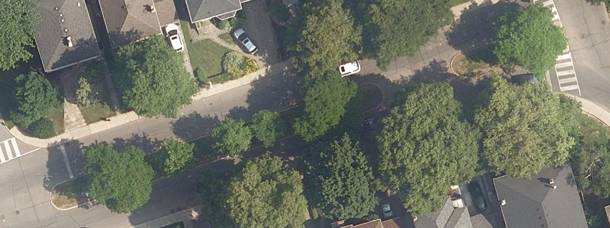 Elm Ridge Drive Traffic Island — site photograph