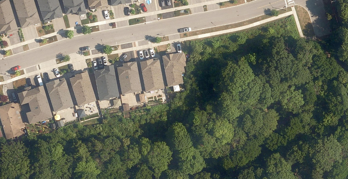 Trca Lands ( 55) — site photograph