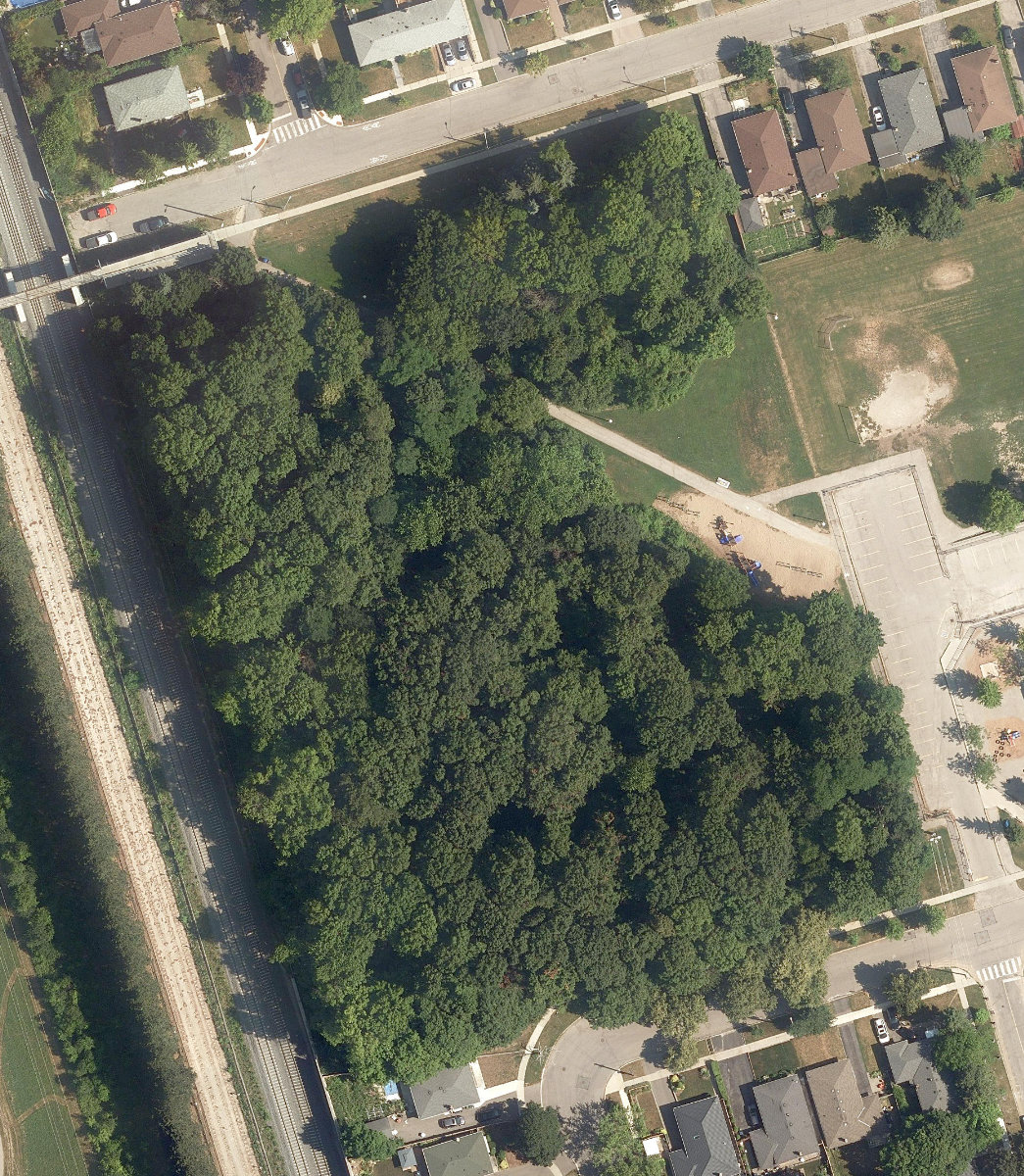 Lord Roberts Woods — aerial / top-down view