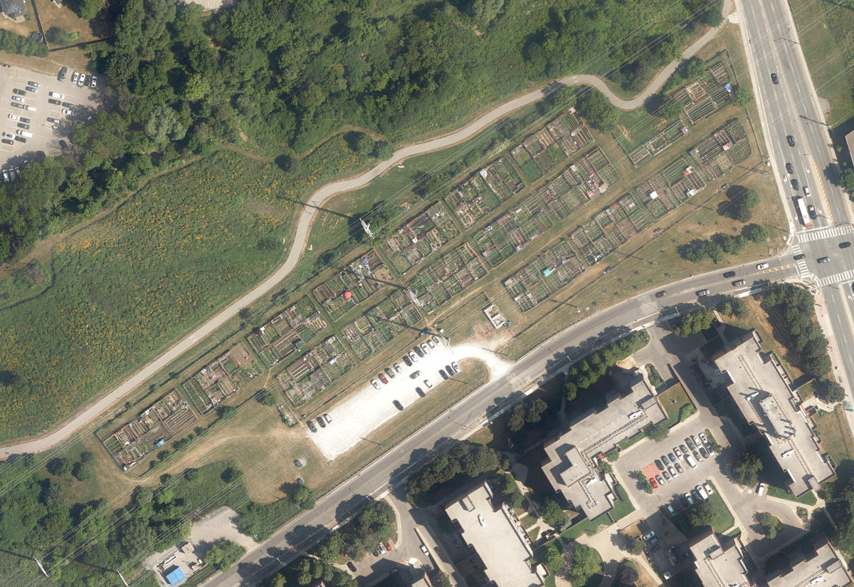 Jonesville Allotment Gardens — site photograph