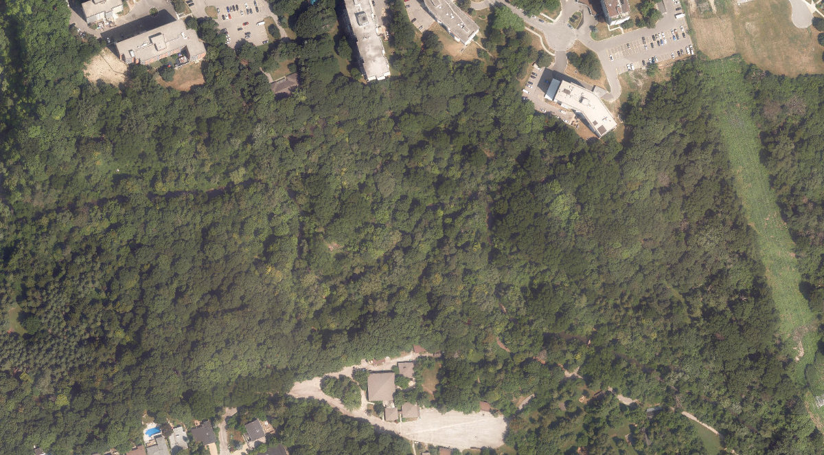 West Don Parkland — site photograph