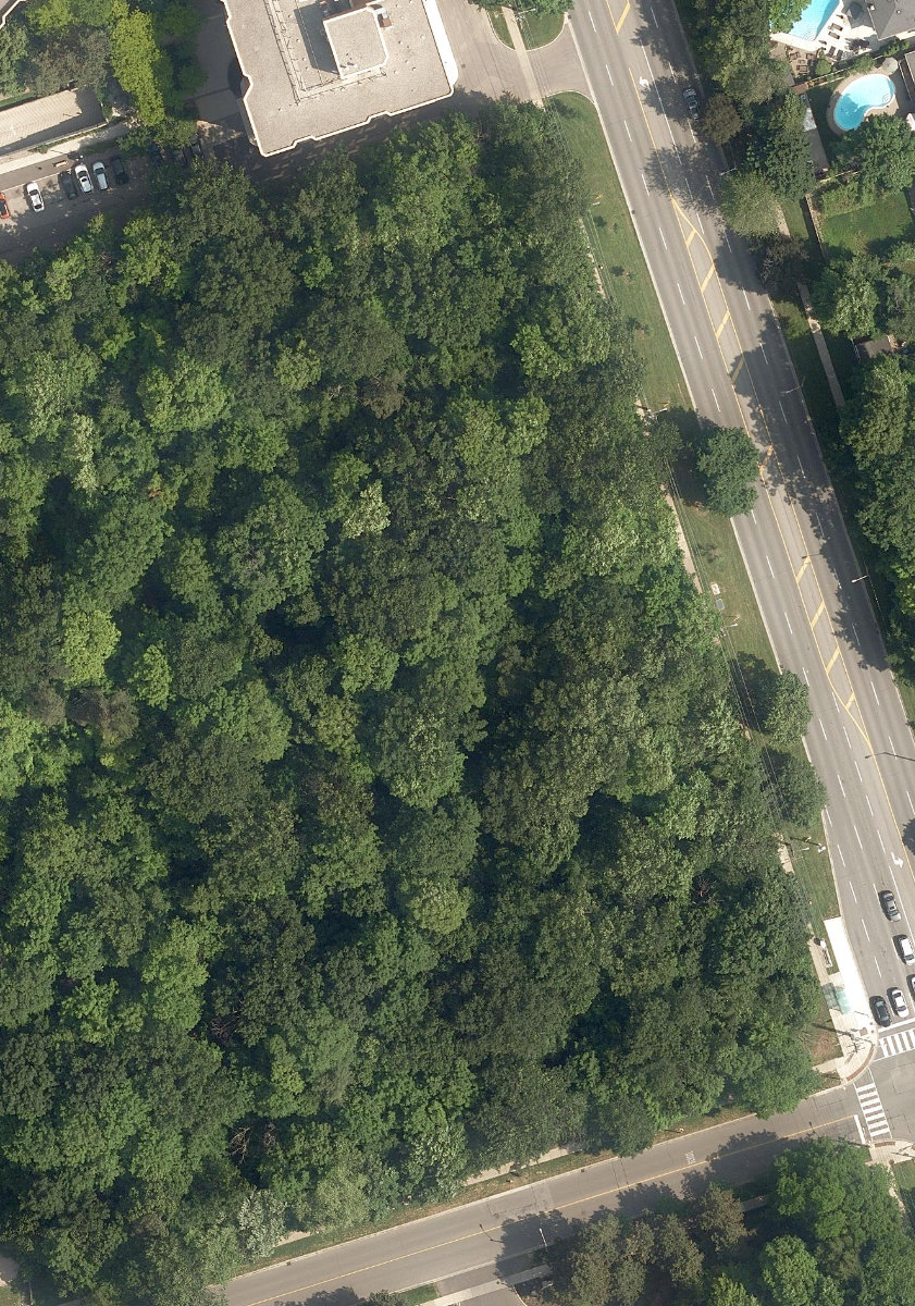 Denfield Park — aerial / top-down view