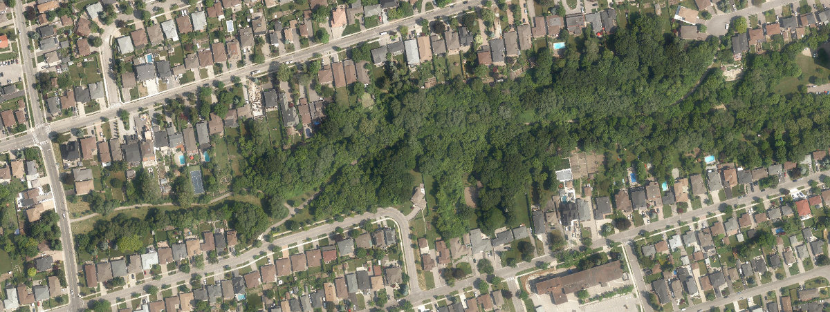 Queen'S Greenbelt — site photograph