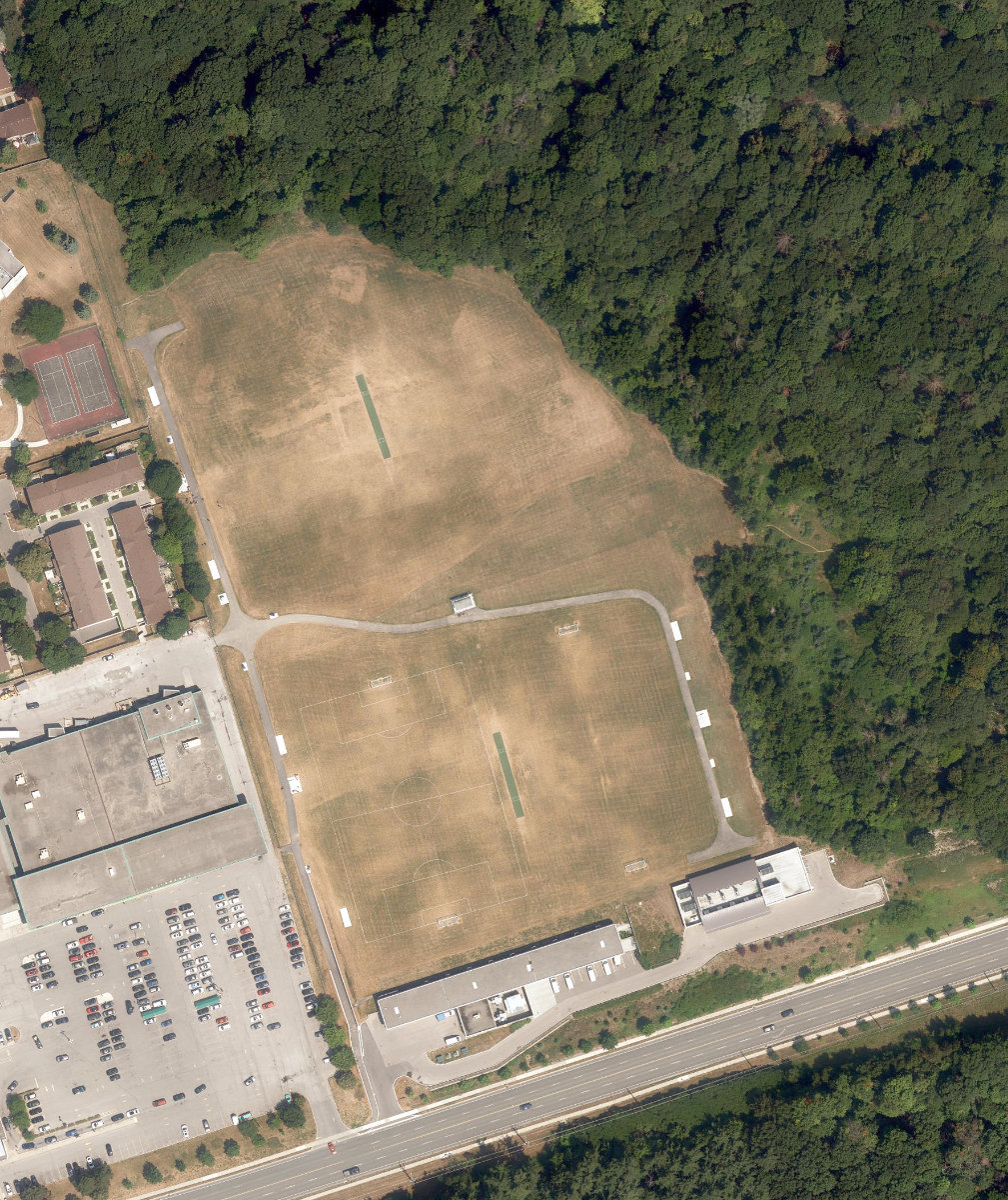 Ellesmere Reservoir Park, site photograph