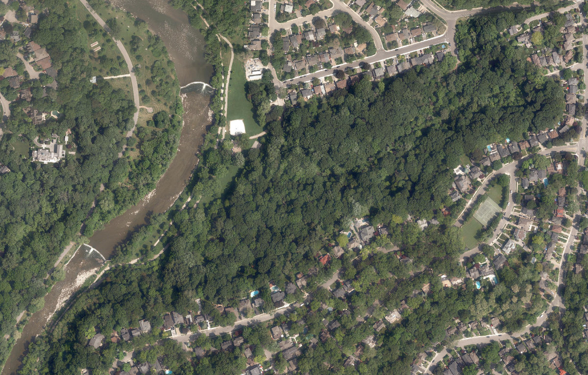Magwood Park — aerial / top-down view