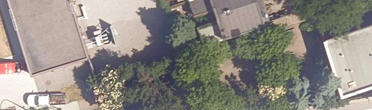 Percy Park — site photograph