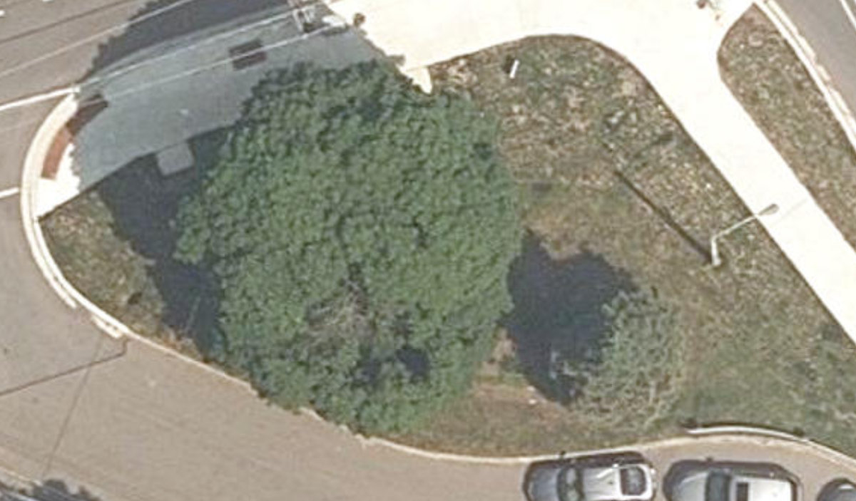 Rathburn Road Traffic Island — site photograph