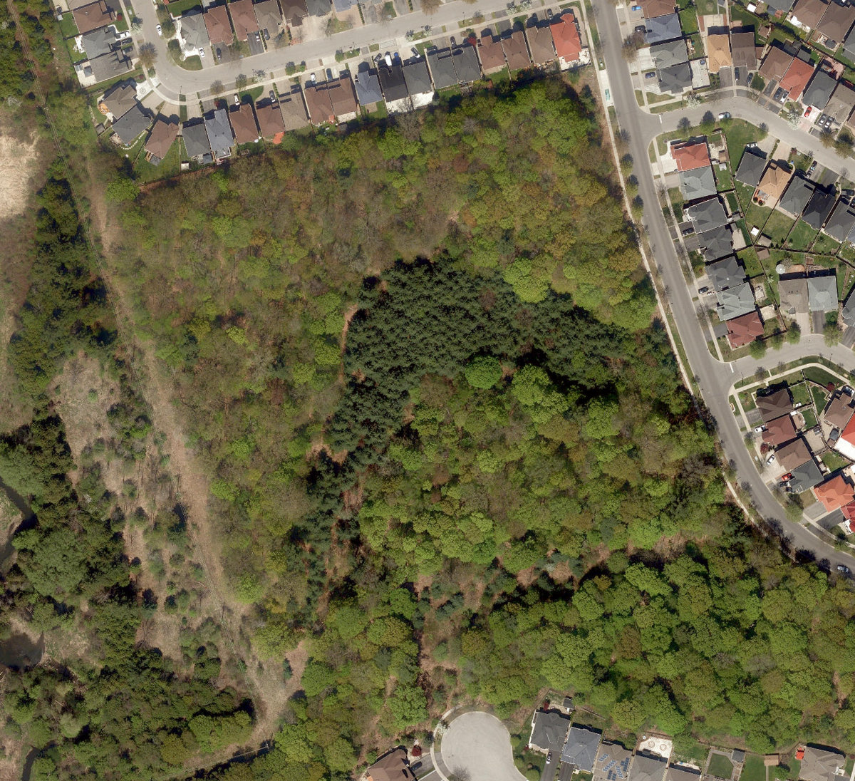 Trca Lands ( 8) — site photograph