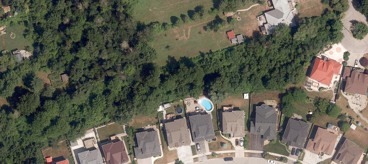 Irma Burman Greenbelt Park — site photograph