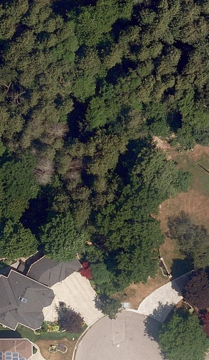 City Wide Open Space — site photograph